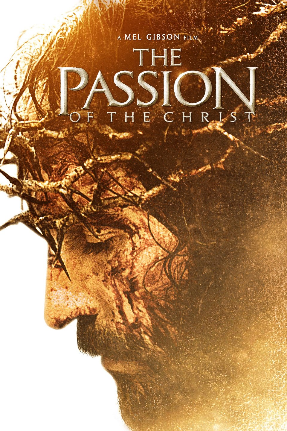 The Passion of the Christ Mel Gibson movies